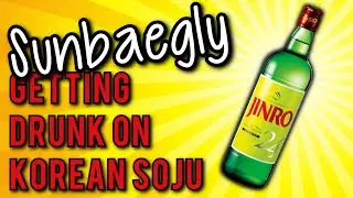 GETTING DRUNK ON KOREAN SOJU | Sunbaegly