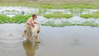 Net Fishing Video - Amazing Fishing Video 80 Years Old Fisherman - Best Fishing Video
