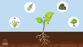 Ci&ecirc;ncias Naturais   Partes das Plantas    2&ordm; ano