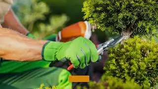 R.E. And Sons Landscaping - Looking for a Landscaper Near Me  Choose R E  And Sons