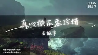 王振宇 - 真心換不來珍惜『你的愛 像風一樣 散去』【Lyrics Video】