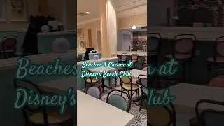 A look at Beaches & Cream, a popular soda fountain at Disney's Beach Club #disneyworld #disney