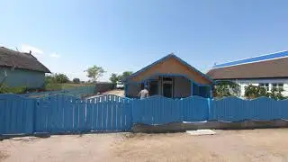 Letea - satul, padurea UHD