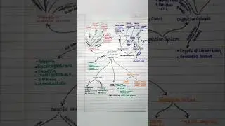 Mind Map for NEET : BIOLOGY- 