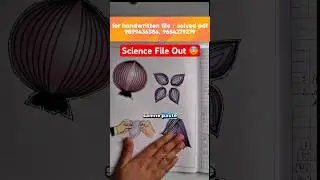 nios class 10 biology practical | nios class 10 science solved practical