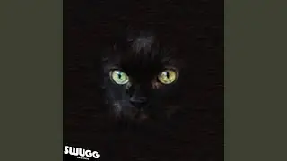 Klappa Katt '18