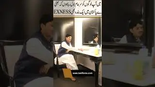 Exness, Xm review by Tani Forex. Exness trading broker review in Urdu and Hindi