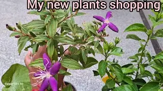 Shopping. My new plants shopping with name and price. 
