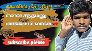 🦗🐝🐜இரவு நேர பூச்சி சத்தம் 🦗🦀🐸 #allanimals #allpets #guppyfish #moolyfish #aquarium #shorts #trending