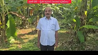 Banana tree and its benefits..