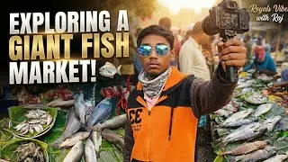 Buying HUGE River Fish for Lunch! | Royal Vibes with Raja Vlog
