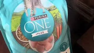 Honest Review Purina Hair Ball Plus Chicken Cat Food