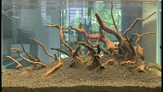 How I aquascape / Aquarium Set up. Revival of my 90cm planted tank, time lapse