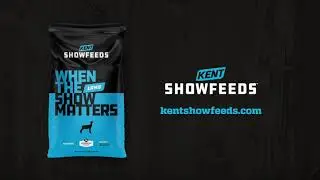KNG Show Feeds Show Lamb