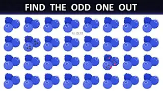 Find the Odd One Out - Blueberry Edition