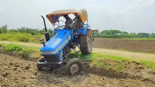 Sonalika Di 745 Tractor Tana Fal | Tractor video | Tractor And Most video | JM Bangla ||