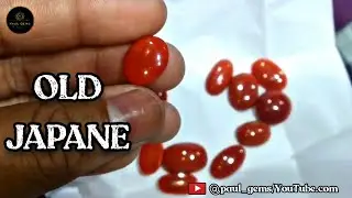 #Japane_Coral || Japanese Red Coral In Wholesale Price || Natural Red Moonga from Japan (IN Hindi)