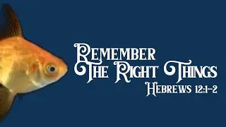 Goldfish Faith |  Remembering the Right Things (Hebrews 12:1&ndash;2)