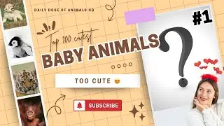Top 100 Cutest Baby Animals &ndash; Ultimate Cuteness Overload! 😍