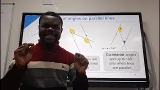 Salim Teaching Video on Parallel lines