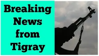 Breaking News from Tigray