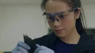 Undertake a PhD in Engineering | RMIT University