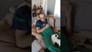 Cozy Cat Family Time 🐾 All Together on the Couch