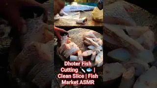 Dhoter Fish Cutting 🔪🐟 | Clean Slice #dhoterfish #fishcutting #fishmarket #seafood #shorts