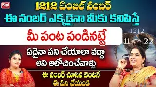 1212 ఏంజల్ నంబర్ - మీకు కనిపిస్తే మీ పంట పండినట్టే || 1212 Angel Number || Sravanthi || Red TV