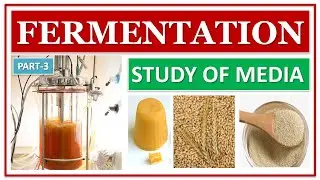 FERMENTATION | PART-3 | FERMENTATION MEDIA | WATER | CARBON SOURCE | NITROGEN SOURCE | MINERALS