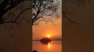 A golden Sunset @Brahmaputra #guwahati #assam #love #sunset #shorts #shortvideo #reels  #india 🧸🌍💜