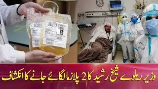 How Sheikh Rasheed recovered from COVID-19?