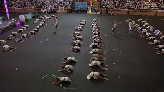 ESCOLA MINHA VIDA 2018 2019