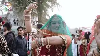 The Camel Festival 2025 | A Grand Celebration of Bikaner&rsquo;s Culture & Heritage