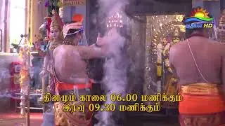 Ealing Amman Temple Athavan Temple  Advert