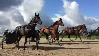 Entrainement Paul Hagoort - International Racing Stables