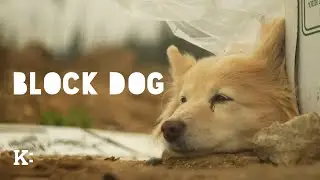 Block Dog - Trailer | Knowledge Network