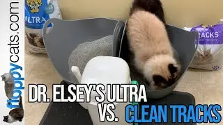 Наполнитель для кошачьего туалета Dr. Elsey's Ultra против Dr. Elsey's Clean Tracks