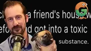 Nick Rekieta's Pug Dies From Toxic Substance