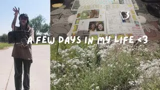 few days in my life: getting svt tickets, hiking in SNP, finding a home for our rescue kitty  