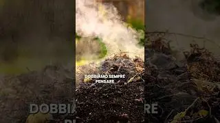 Il tuo Compost sta Morendo? Ecco come Salvarlo!
