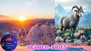 BERBEC♈19-25 IANUARIE 2026❄️⛄REVINE CEVA DIN TRECUT❄️⛄