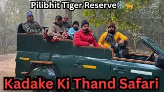 Freezing Foggy Morning in Pilibhit Tiger Reserve | Deer, Wild Rooster, Eagle & Guide Stories 🐅🥶
