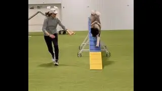 Miko - CPE Agility - Standard Level 1 - 11/29/25