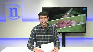 Informativo leonoticias | 'Le&oacute;n al d&iacute;a' 7 de diciembre