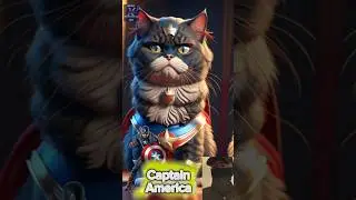 Avengers - Marvel Superheroes but Persian Cat &ndash; Be Amazed! #marvel #avengers