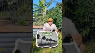 Hurricane proof your Florida garden