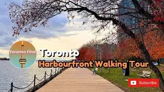 Toronto Harbourfront Walking Tour 2025 | Toronto&rsquo;s Most Beautiful view !🌅#toronto #viralshorts 