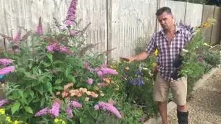 Garden on a Roll - Wildlife/Mixed Sunny Border