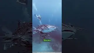 This Fish Is Going Viral